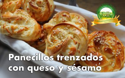 Panecillos trenzados con queso y sésamo