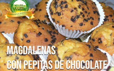Magdalenas con Pepitas de Chocolate