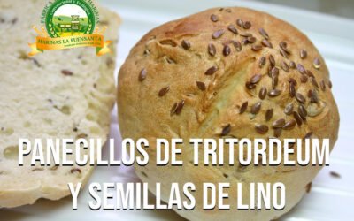 Panecillos de tritordeum y semilla de lino