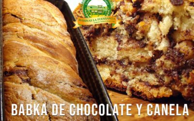 Babka de chocolate y canela