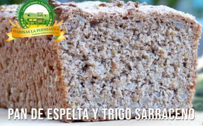 PAN DE ESPELTA Y TRIGO SARRACENO