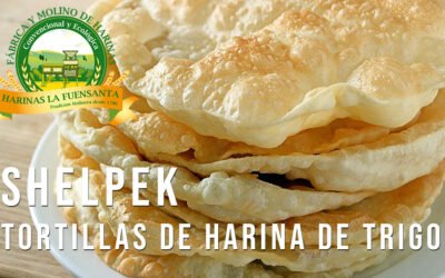 Shelpek – Tortillas de harina de trigo
