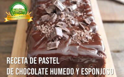Pastel de chocolate húmedo y esponjoso