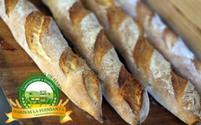 Pan Baguette Francés